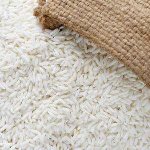 5 human foods that are safe for dogs