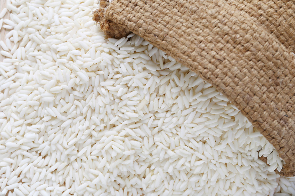 5 human foods that are safe for dogs